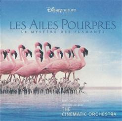 The Cinematic Orchestra — Transformation