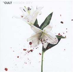 The Cult — Dark Energy