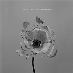 The Naked And Famous — Rolling Waves