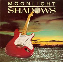 The Shadows — Walk of Life