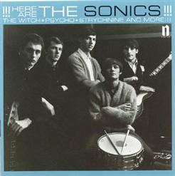 The Sonics — The Witch