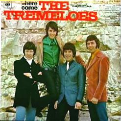 The Tremeloes — Here Comes My Baby