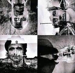 Travis — Re-Offender