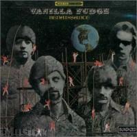 Vanilla Fudge — Thoughts