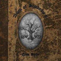 Zakk Wylde — Lay Me Down