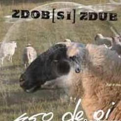 Zdob Și Zdub — DJ Васильич