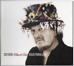 Zucchero — Partigiano Reggiano